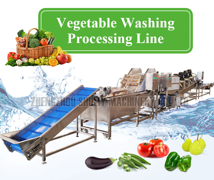 vegetable washing packing line vegetable washing packing line