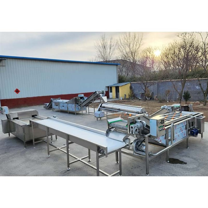 chicken feet processing factory