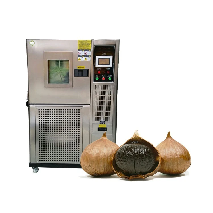 black garlic maker machine (4)