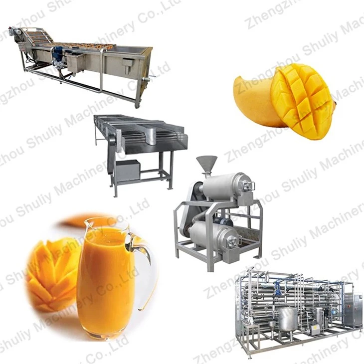 mango juice production line (2)