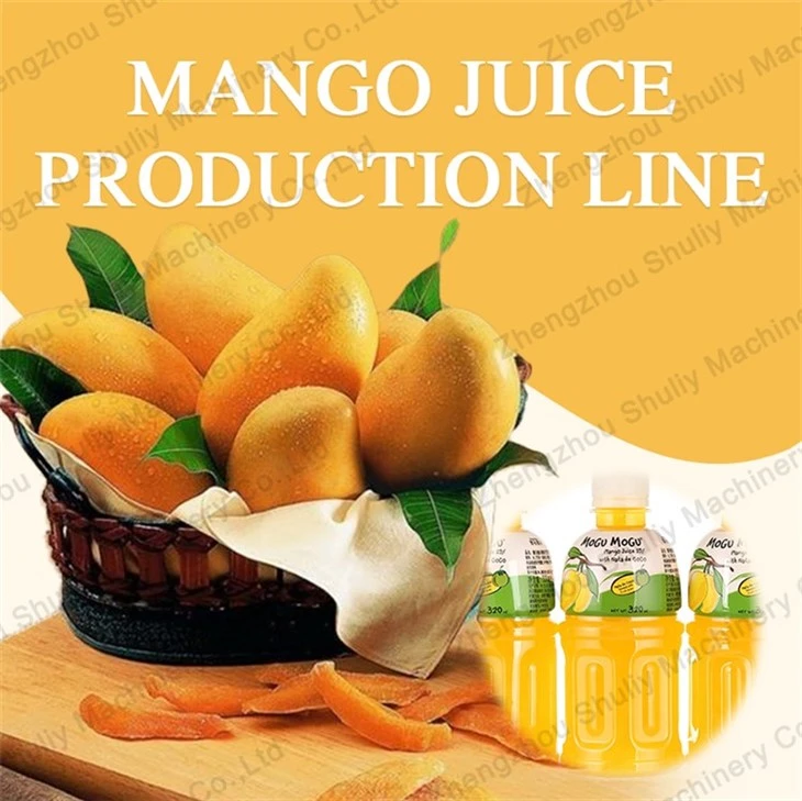 mango juice production line (7)
