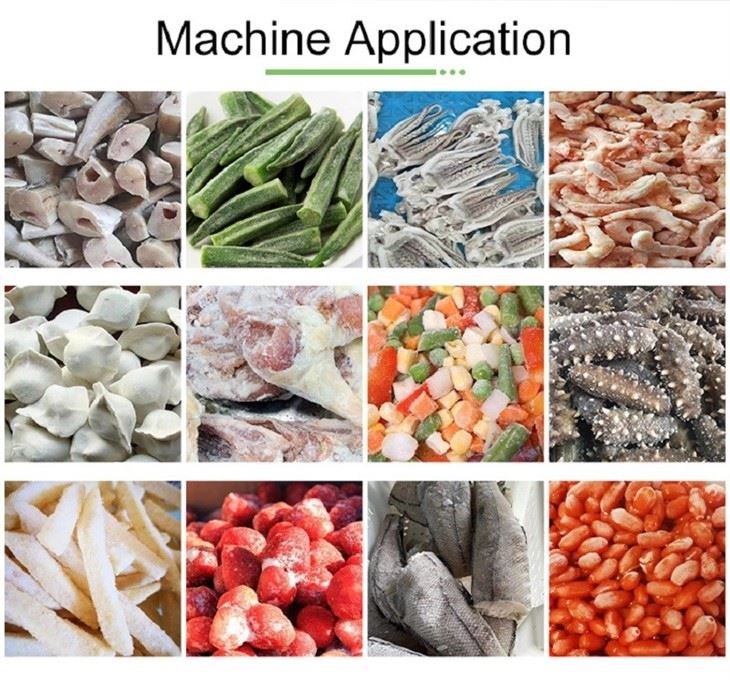 Quick freezer machine4