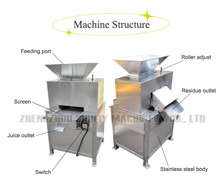 fruit juicer extractor fruit juicer extractor